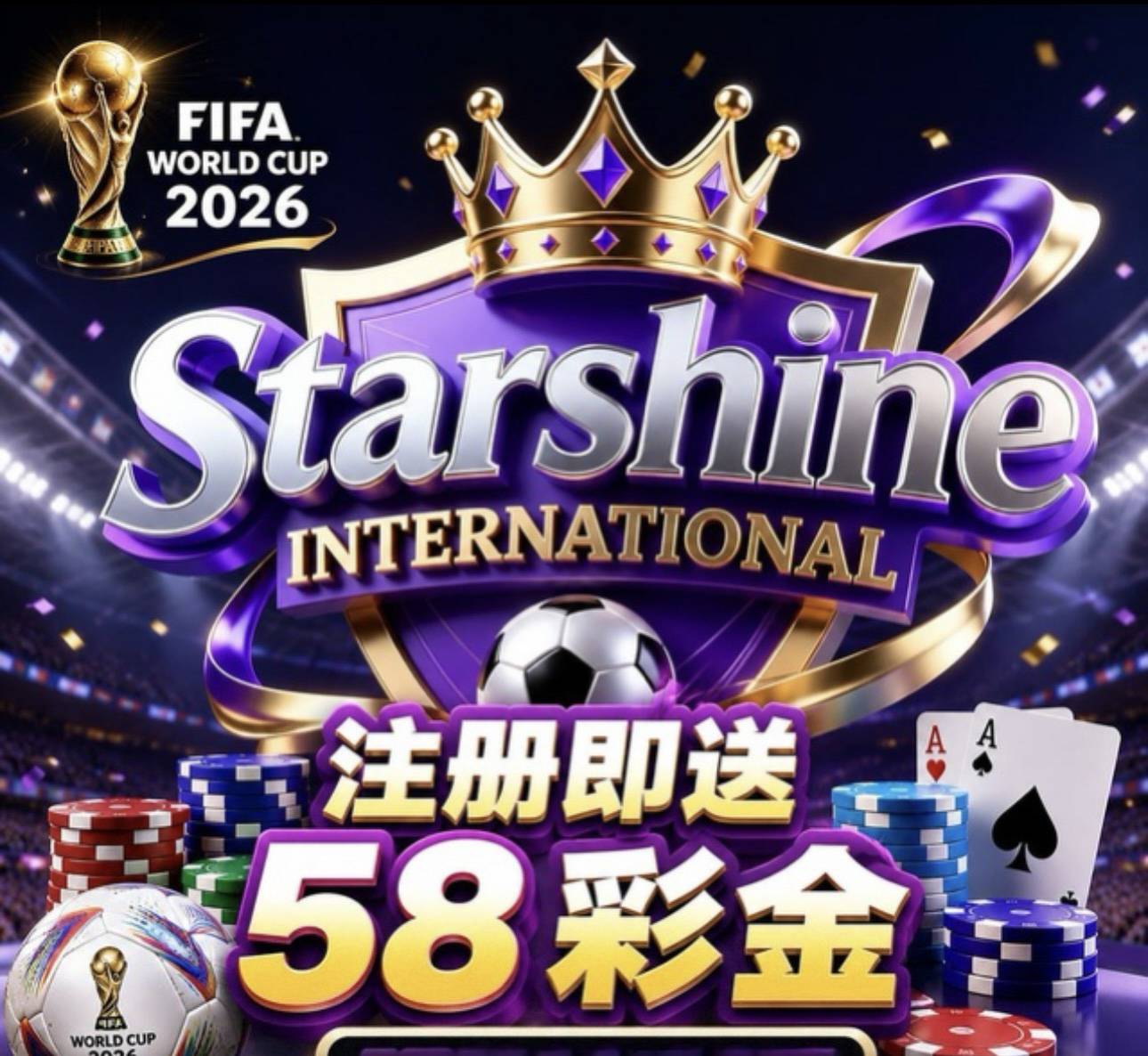 星耀国际